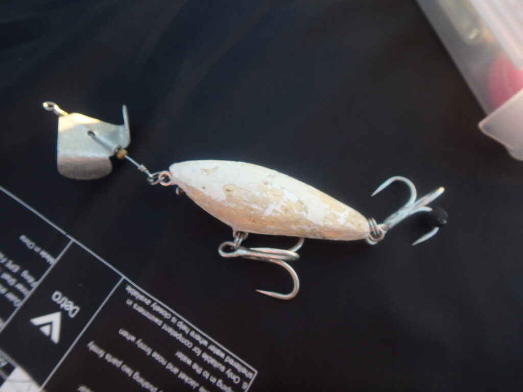 怪魚版野良ネズミ”、Banheiro（バンニェイロ）のトリセツ2022