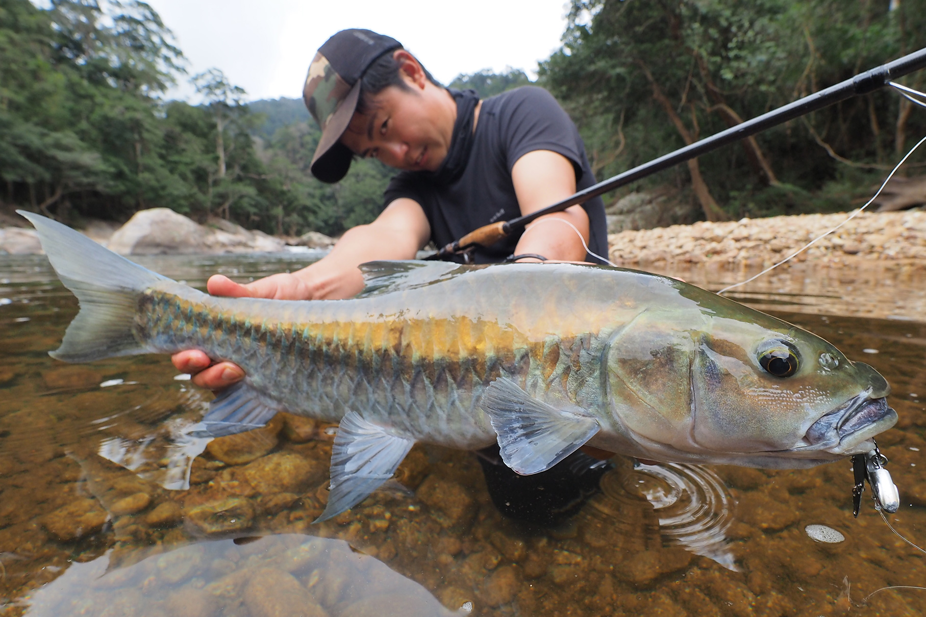 Dear Monster MX-7S - Monster Kiss モンスターキス