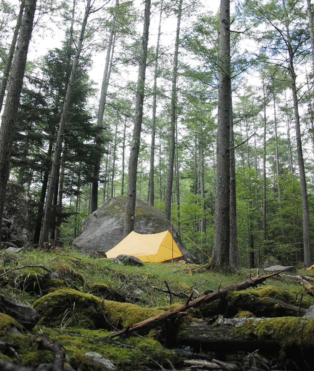 Mountain Laurel Designs / LITTLESTAR