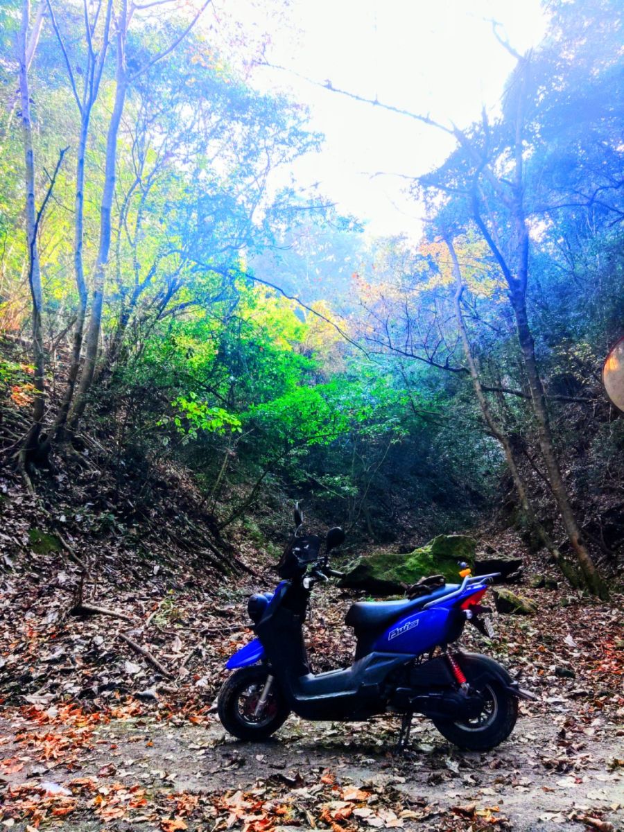 投稿詳細｜MOTOCLE