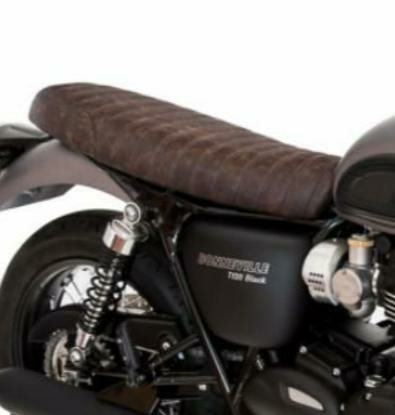 トライアンフ Street Cup (ストリート カップ) |シート|RAISCH