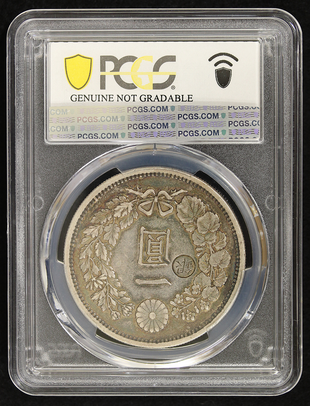 新1円銀貨（大型） 明治12年（1879） 左丸銀 トーン PCGS XF Detail