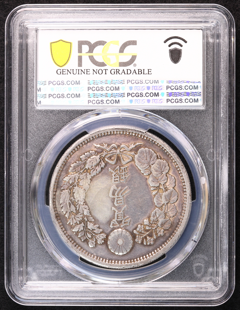 貿易銀 明治8年（1875） 長支脈 PCGS Repaired-XF Detail | ミスター