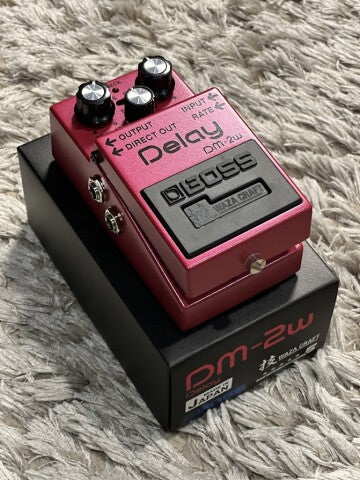 Boss DM-2W Waza Craft Delay Pedal – nafiriguitar.com