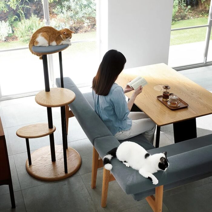 猫のプロと熟練家具職人がタッグで開発。「ディノス・猫と暮らす家具
