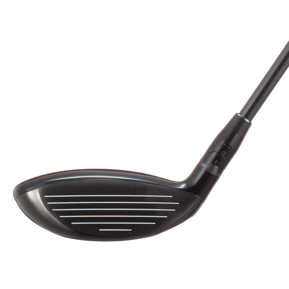 BIG BERTHA ALPHA 816 フェアウェイウッド 製品情報(メンズ