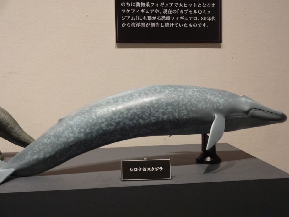 メガソフビアドバンス004シロナガスクジラ