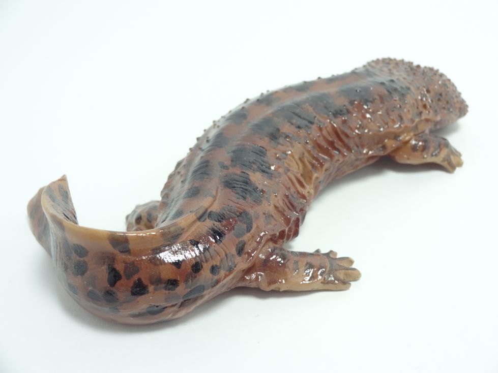 水族館限定フィギュア オオサンショウウオ