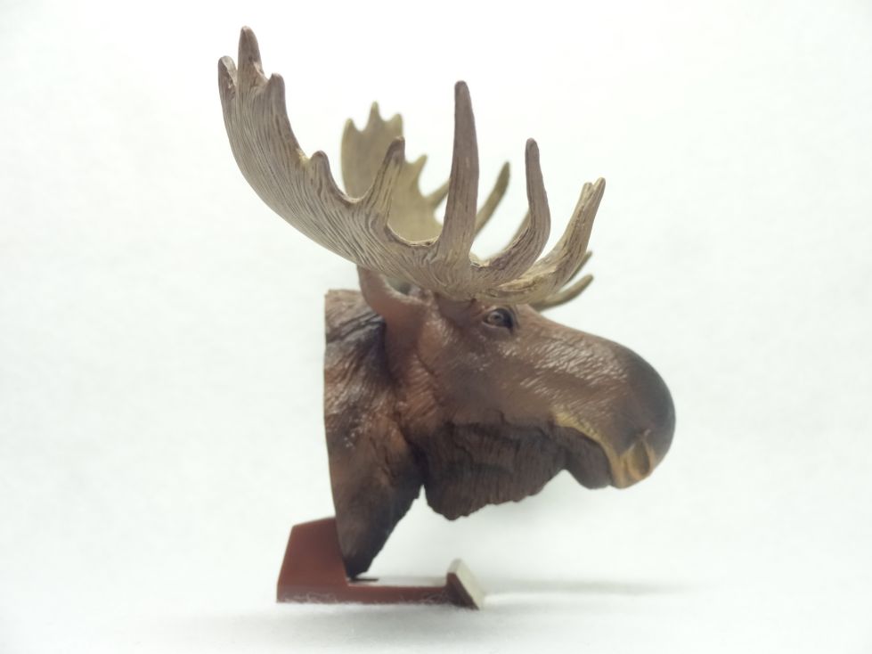 ハンティング・トロフィー