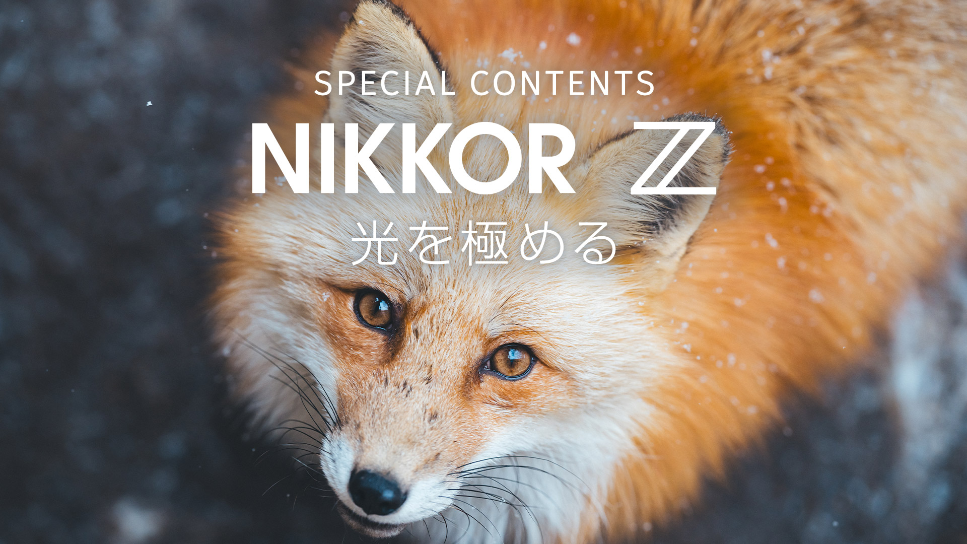カメラ・映像製品 | ニコン