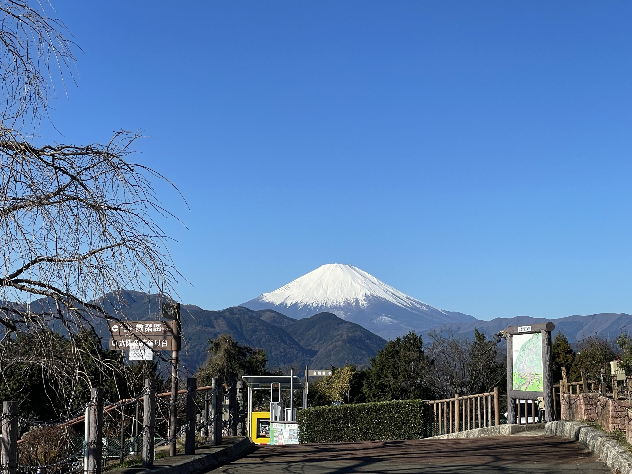 ニュース | 西平畑公園 公式ホームページ