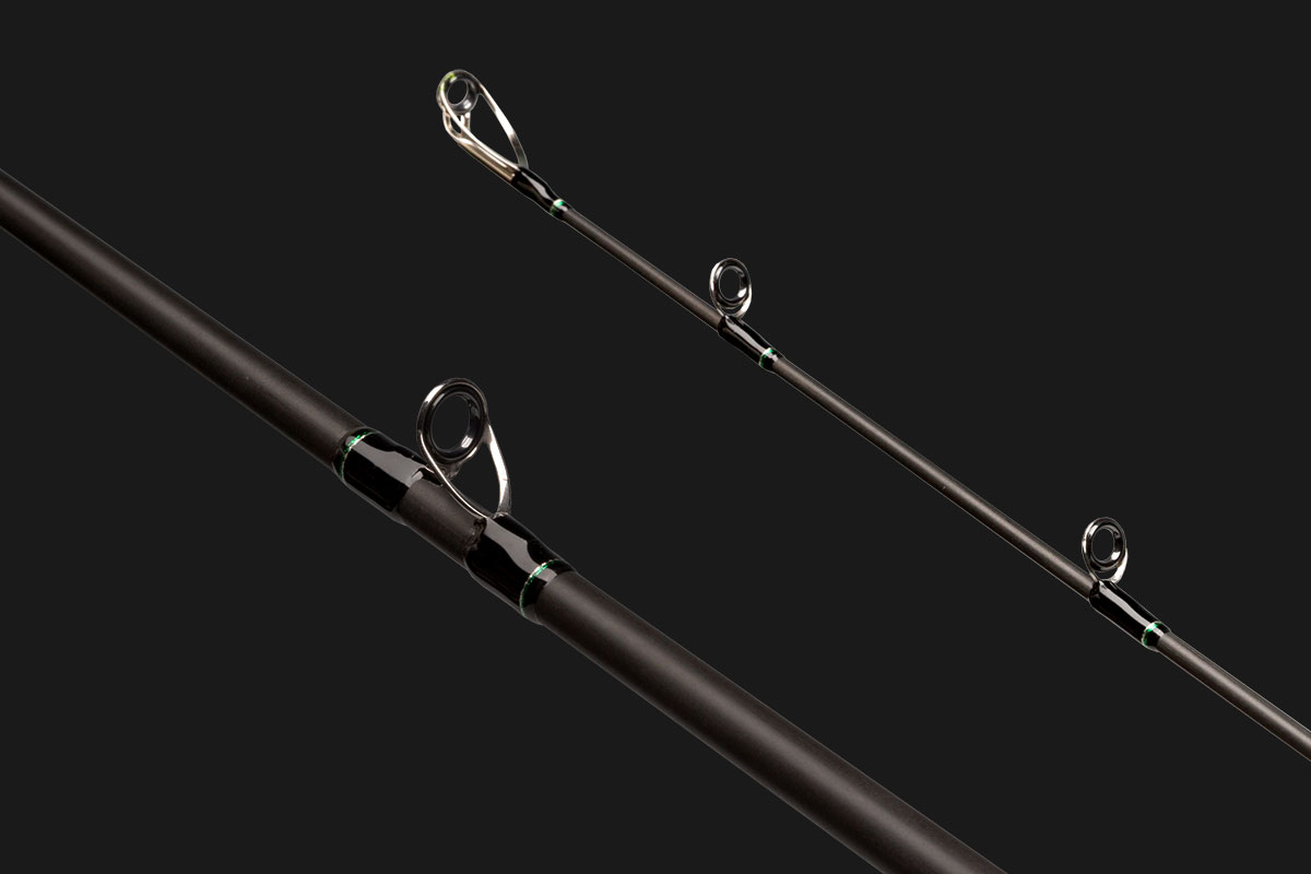 Road Runner VOICE LTT | BASS | NORIES