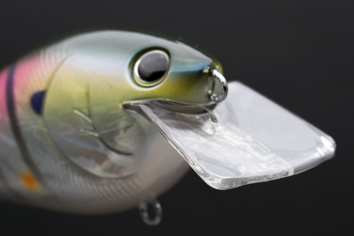 SHOT STORMY MAGNUM | BASS | NORIES