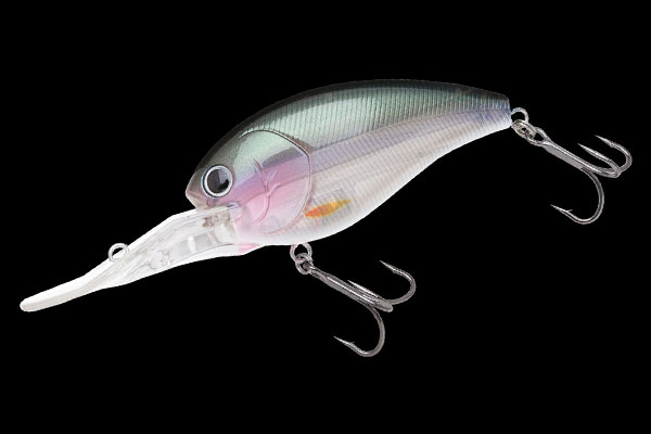 PROP FUKA | BASS | NORIES