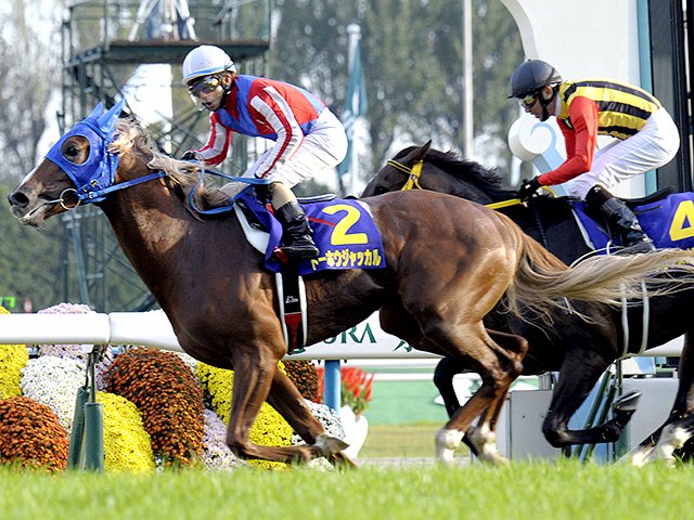 中堅ジョッキーと、200万円の馬券。菊花賞を巡って展開された人間模様