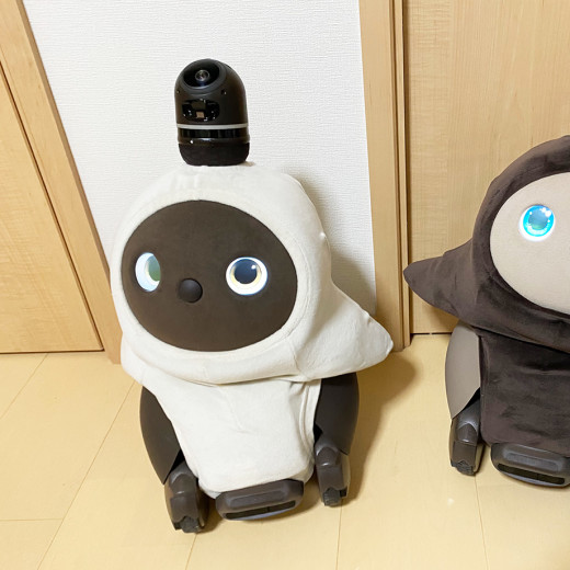 LOVOT」がハローキティに変身!? なりきりウェアが登場 | Numero TOKYO