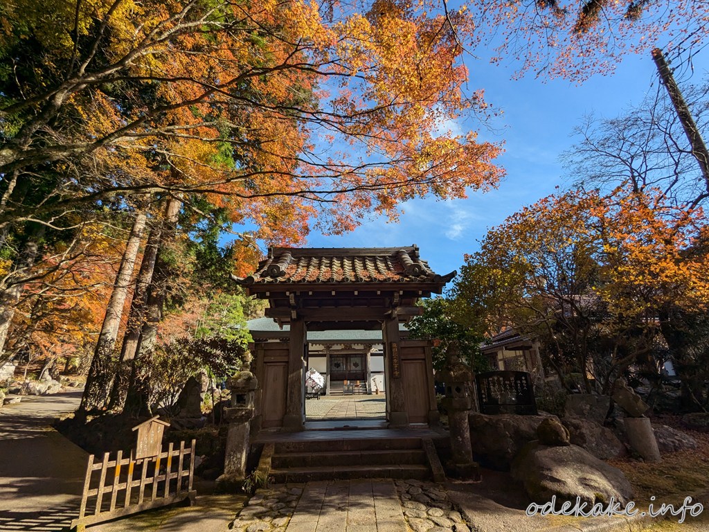 箱根の絶景スポット】仙石原 長安寺の紅葉と五百羅漢像を楽しむ