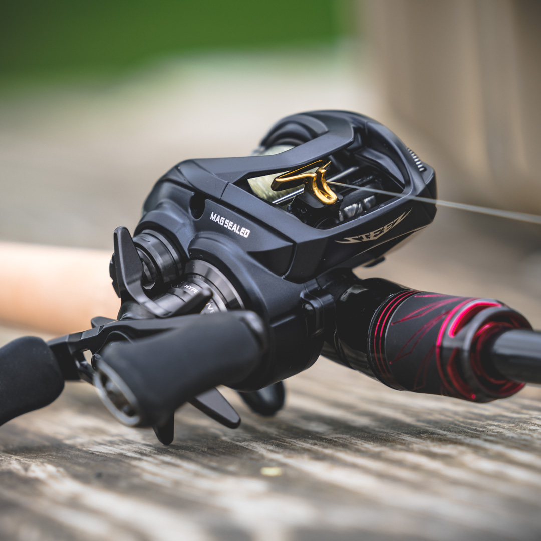 Daiwa Steez A TW Casting Reel - EOL | Omnia Fishing