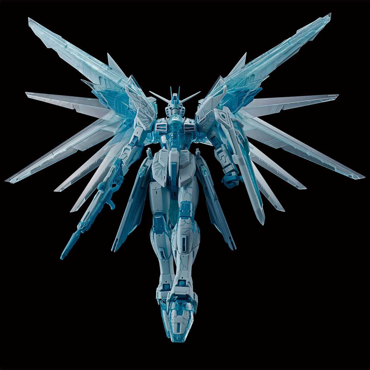 GUNDAM NEXT FUTURE FINAL TOKYO MG 1/100 Freedom Gundam Ver.2.0