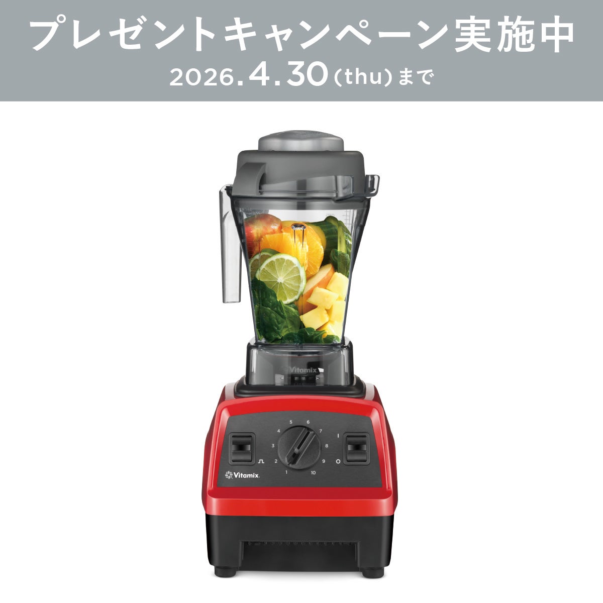 公式】バイタミックス Vitamix ミキサー E310日本正規輸入代理店