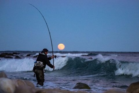 First Look: New Shimano Tiralejo XX Surf Rods - On The Water