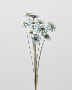 ｱﾈﾓﾈﾌﾗﾜｰ ｵﾚﾝｼﾞ: ドライフラワー ｜ YDMオンラインストア ｜ 横浜