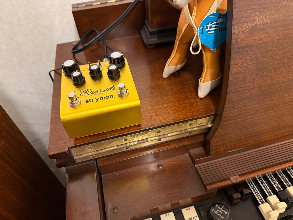 STRYMON ( ストライモン ) Riverside 送料無料 | サウンドハウス
