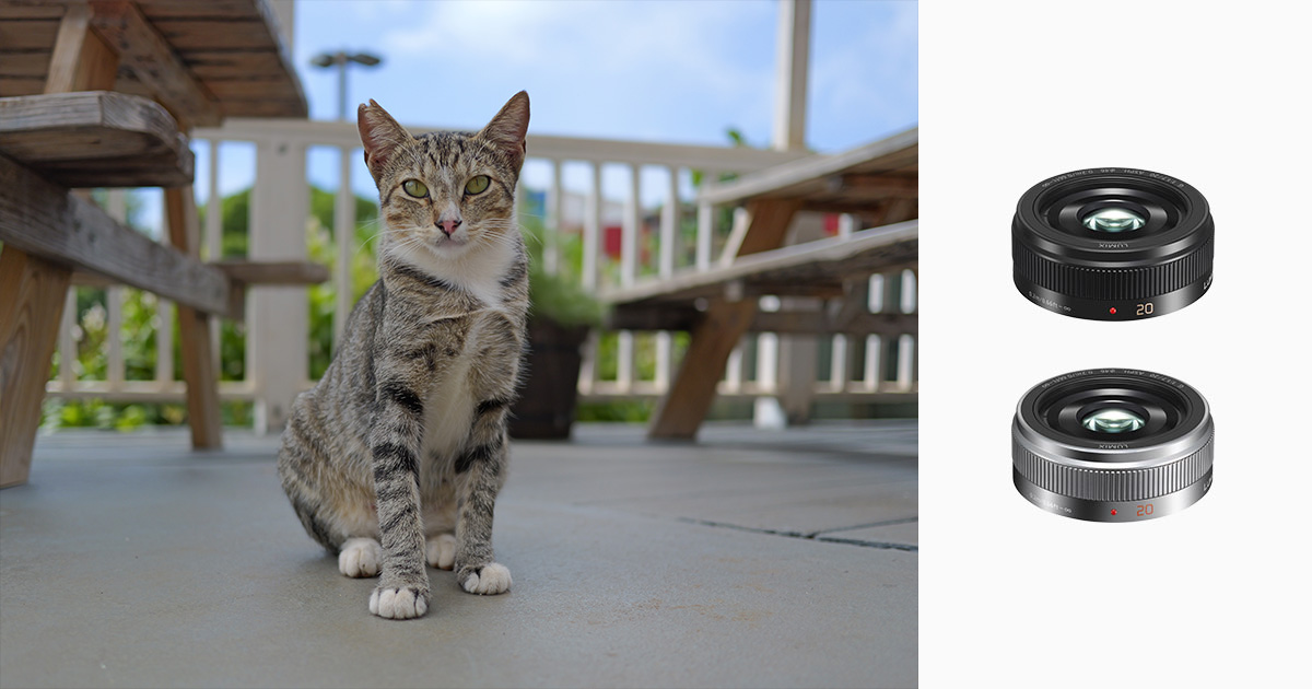 概要 デジタル一眼カメラ用交換レンズ H-H020A | LUMIX（ルミックス