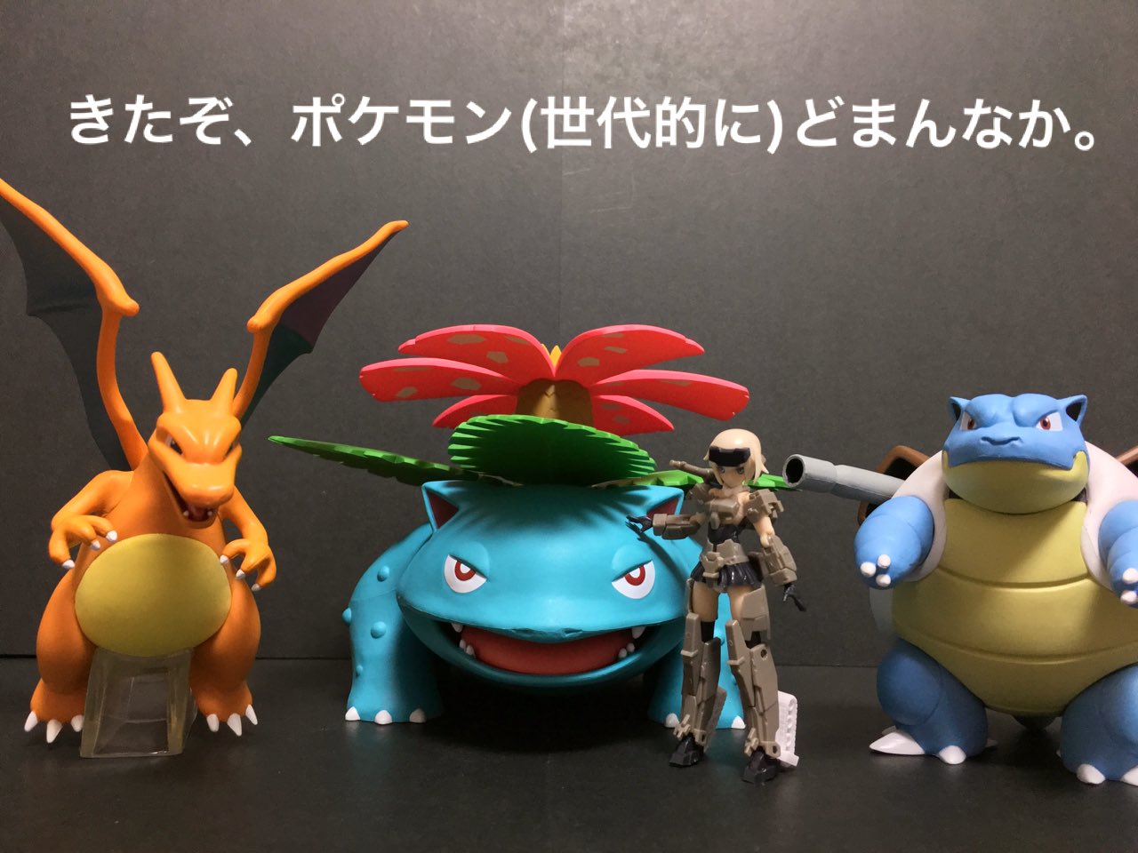 リザードン フシギバナ カメックス ポケモンスケールワールド カントー