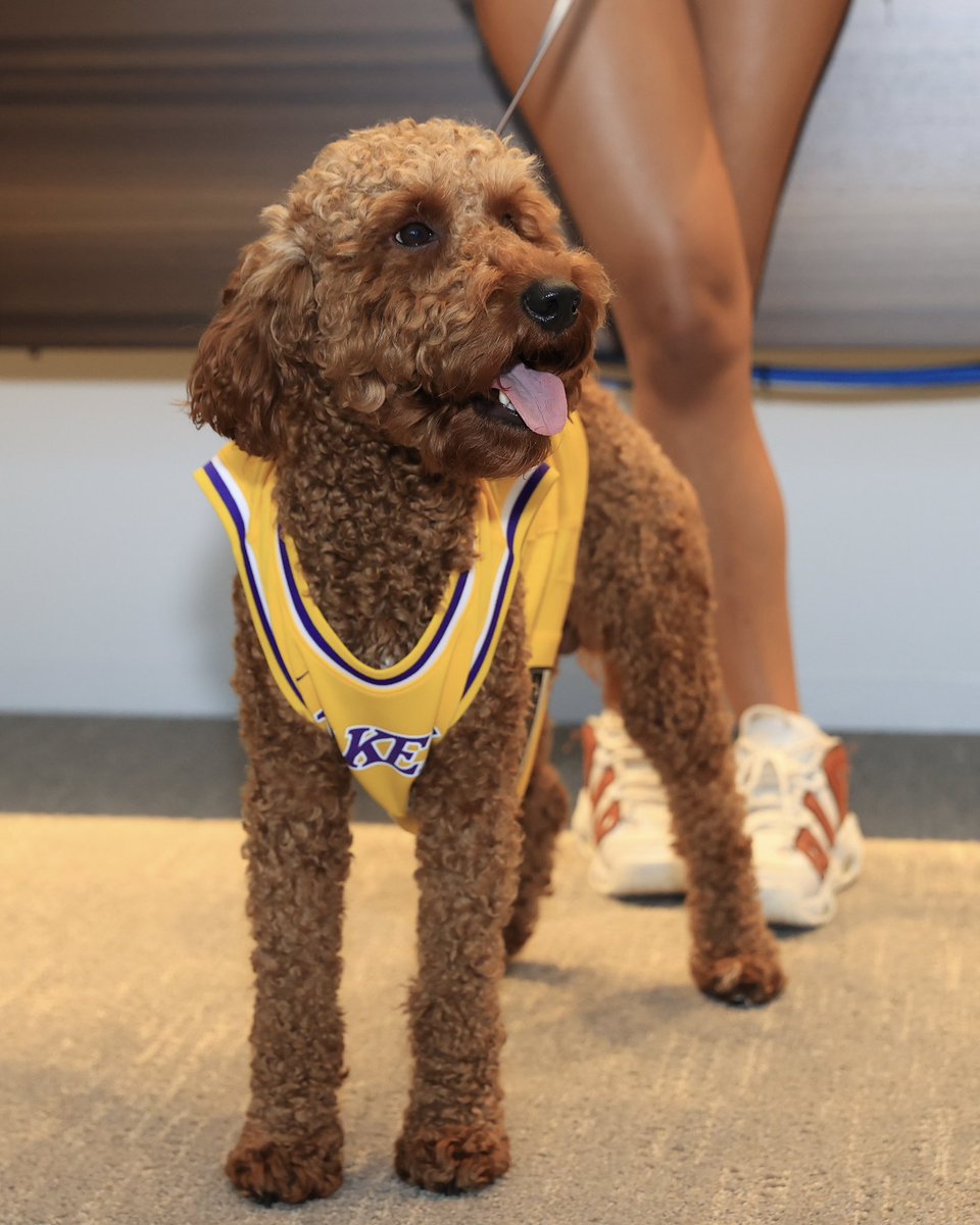 Run it back!! 💛💜