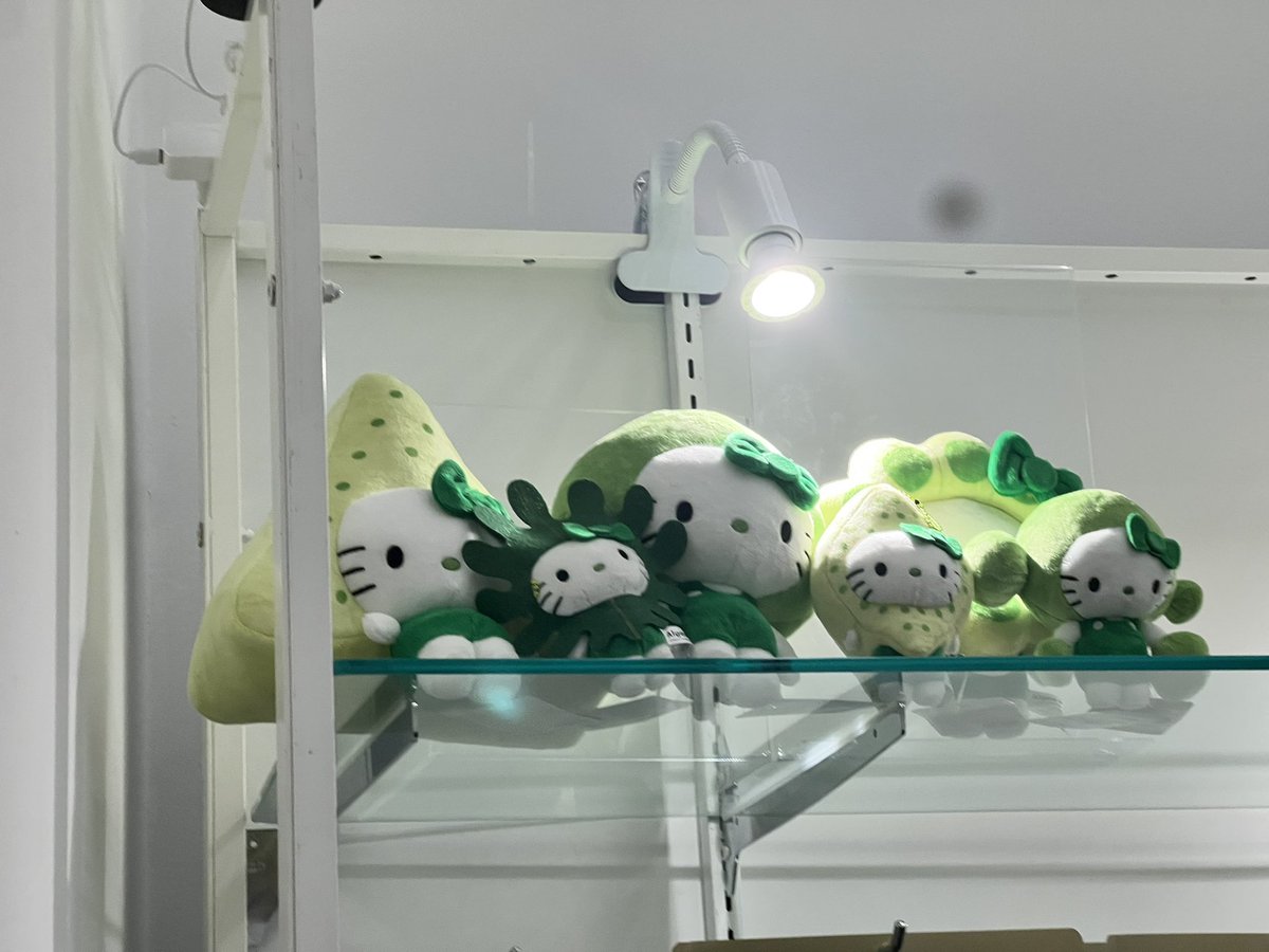 日本館限定のドラえもん＆キティちゃんグッズ！ キティちゃんは