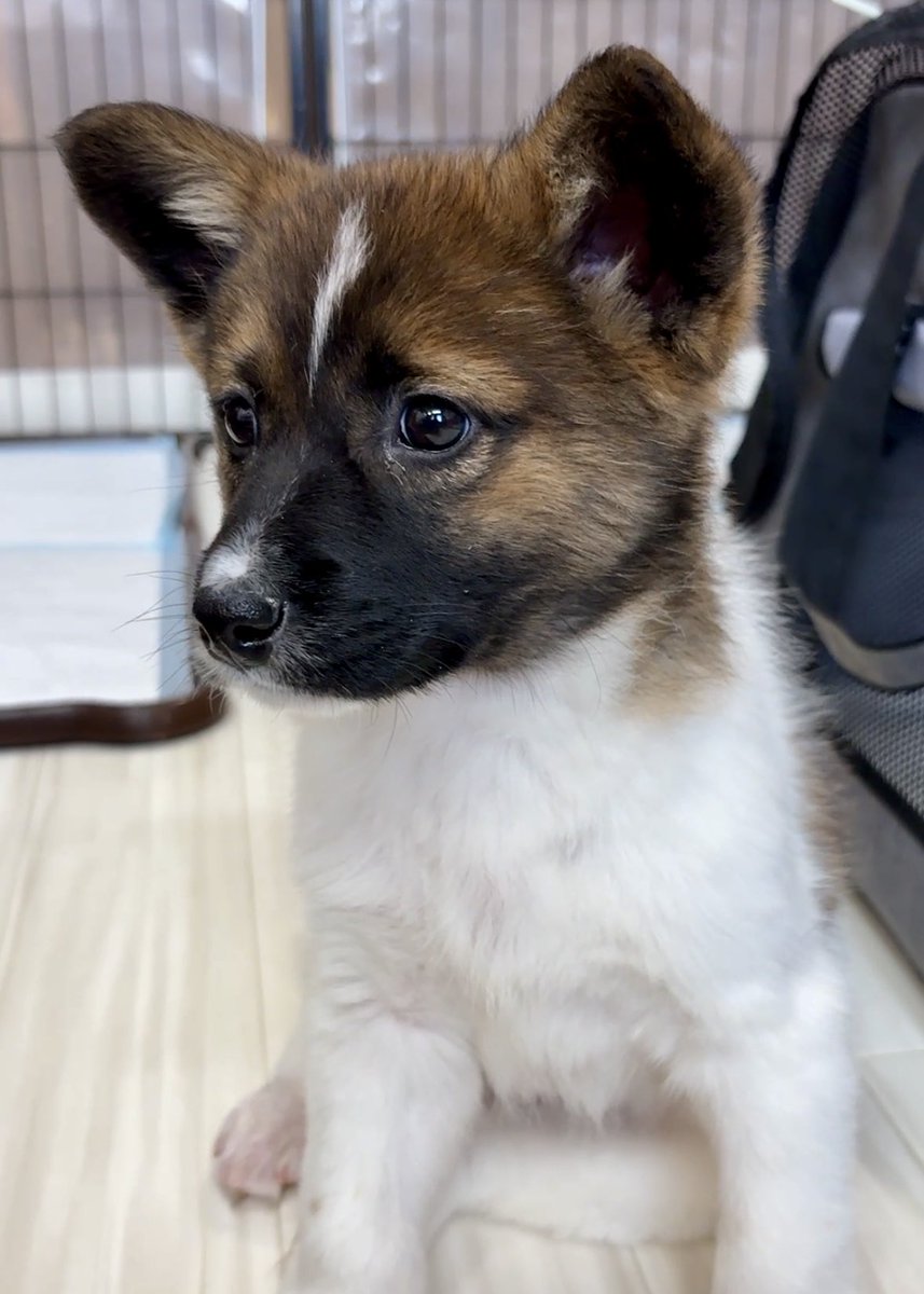 みず🏀🍧💐 (@mizusan16) / Posts / X