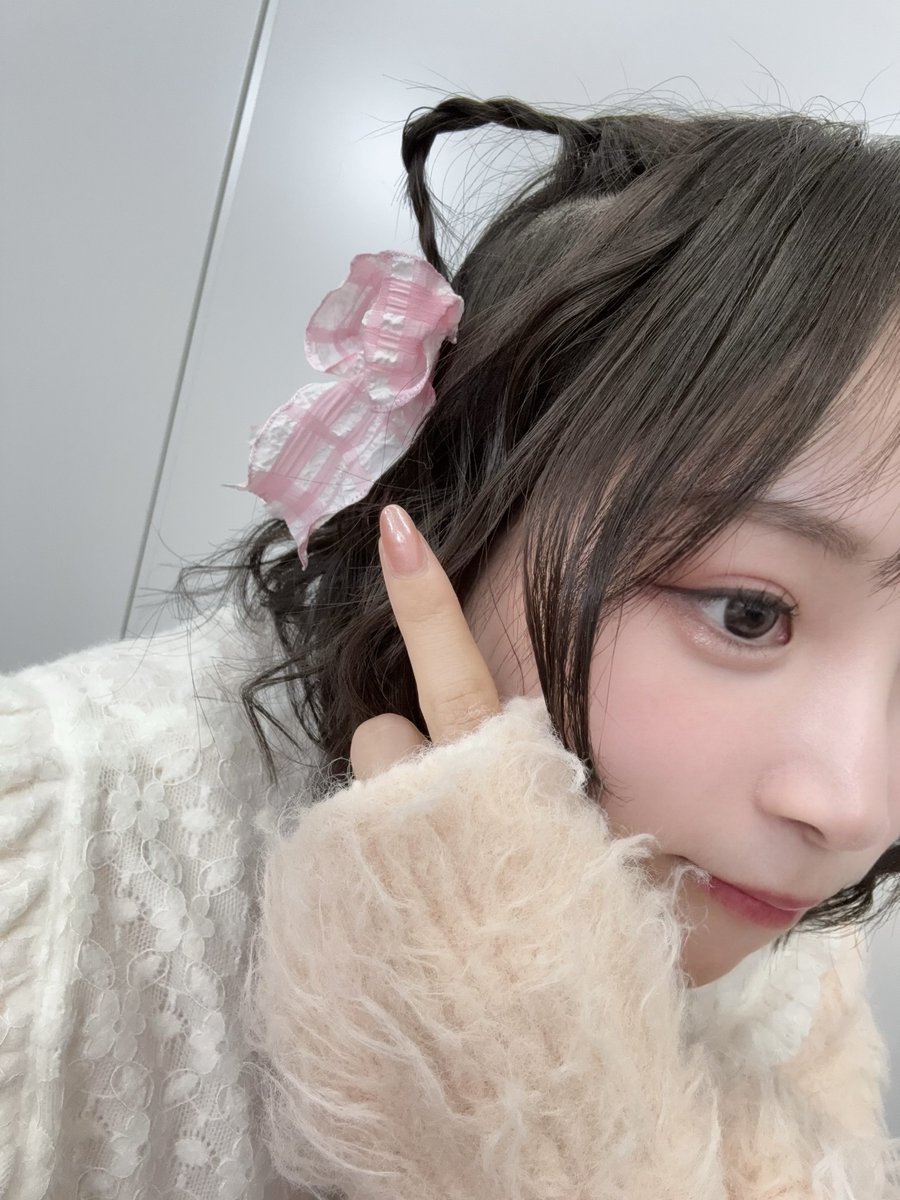 Post by 櫻井陽菜 on X: 🐈