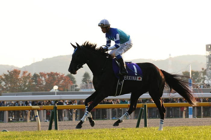 牝馬ジェンティルドンナ ジャパンカップ連覇（1） 返し馬 : Turfに魅せ