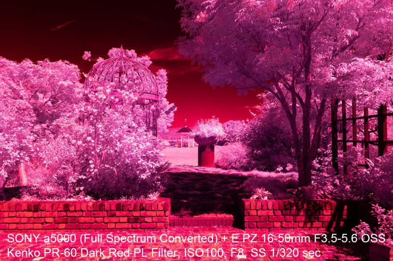 フルスペクトルカメラ七変化 : Soul Eyes