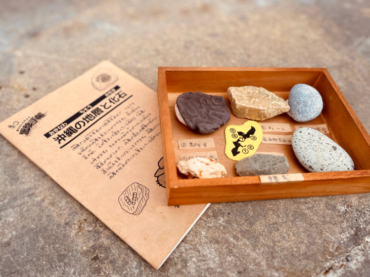 化石発見キャンプ〔3日目〕沖縄本島を巡ること3日間、最終日はついに