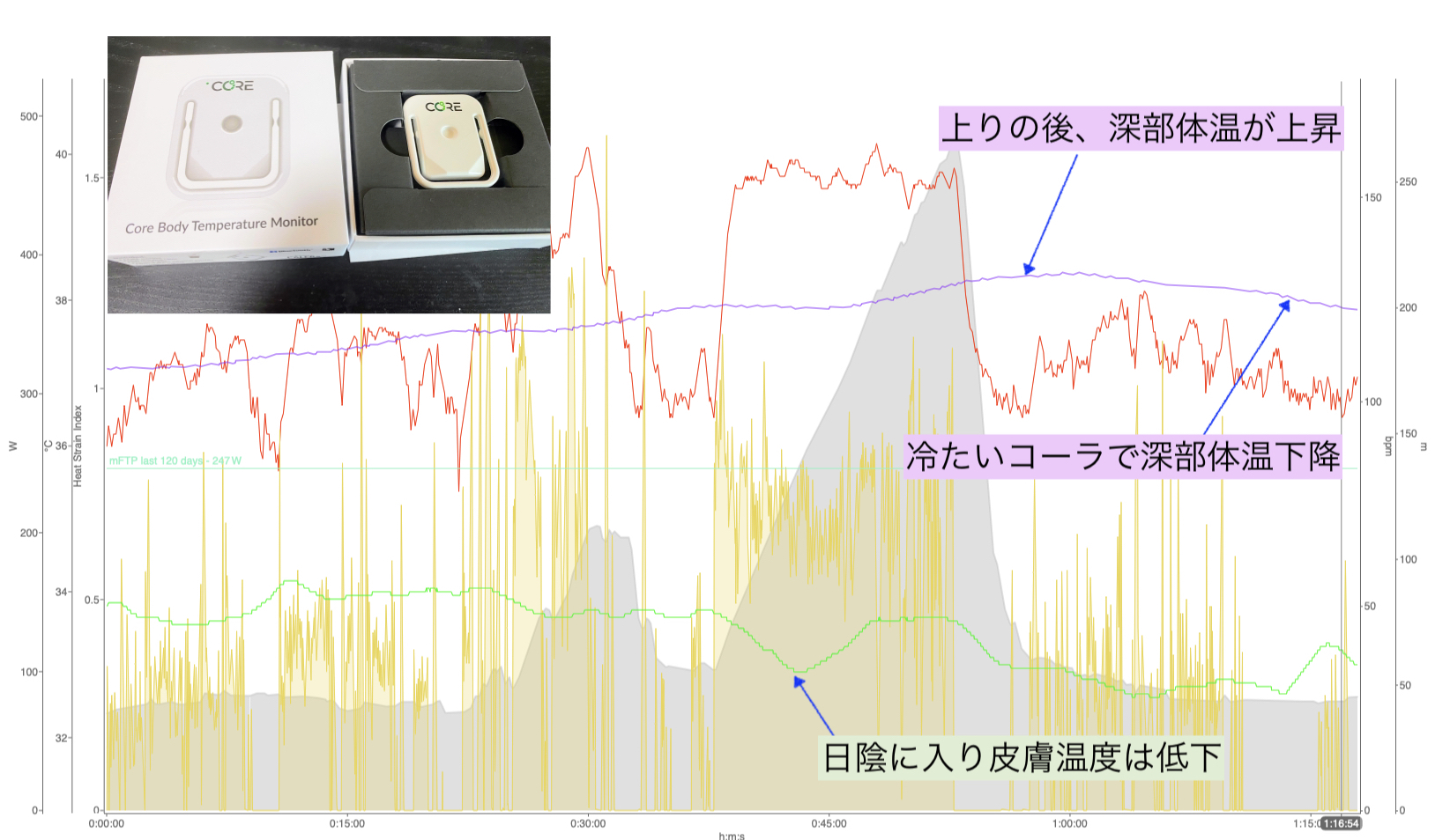 CORE] 深部体温計 - Peaks Coaching Group Japan