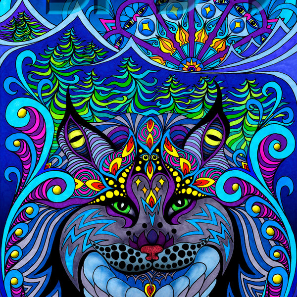 STS9-2009_600x600_crop_center.