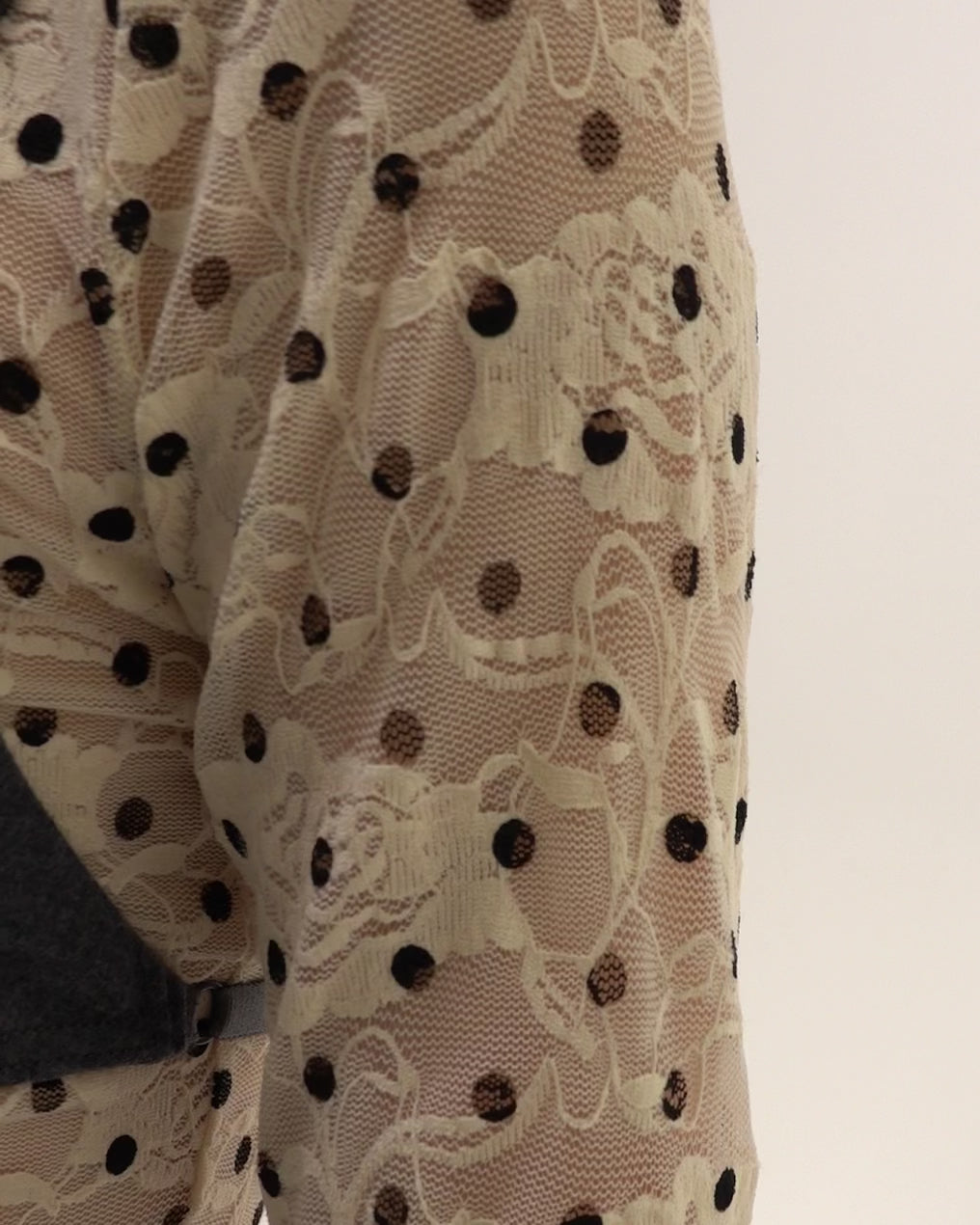 Dot lace see-through top (high neck)