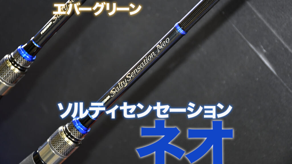 ライトゲーム用スタンダードロッド「ソルティセンセーション ネオ