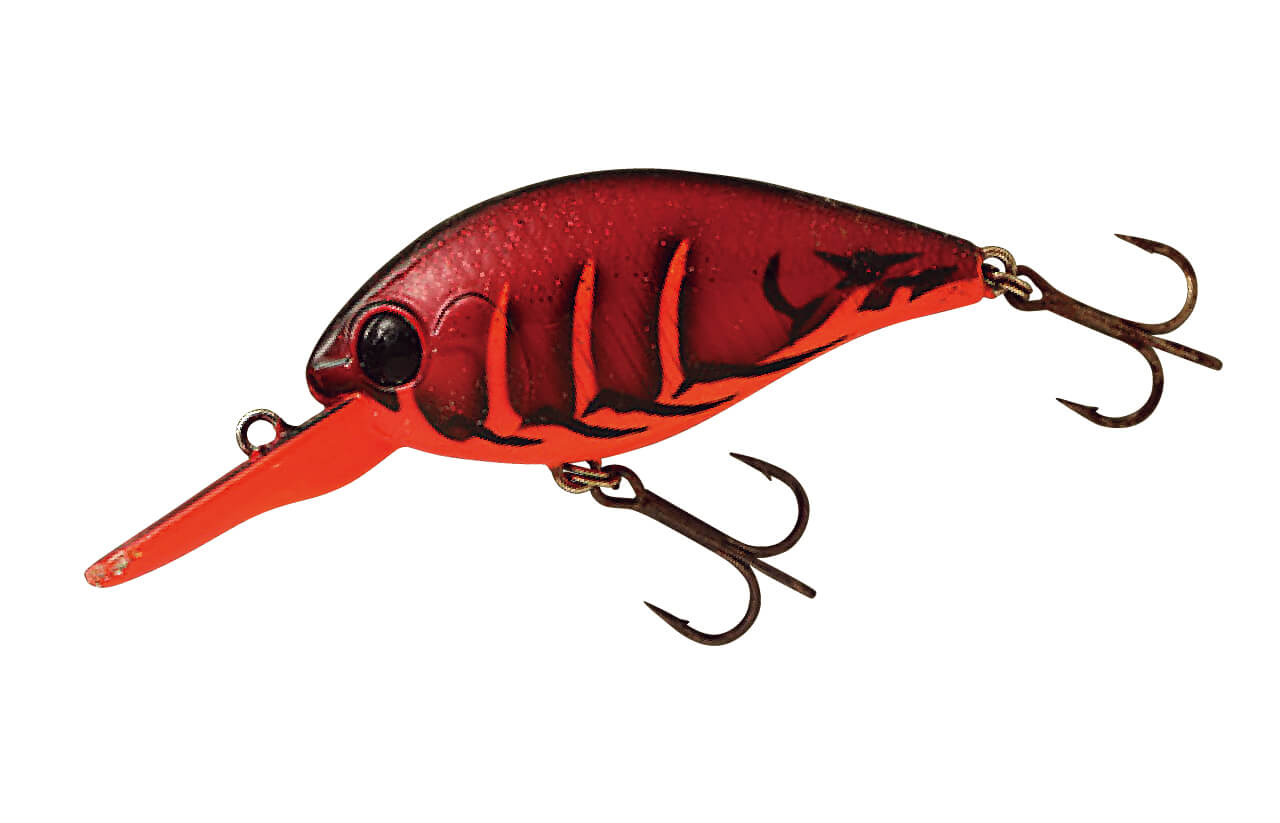 画像 No.17/21] DRT琵琶湖裏対談 ぼくたちが琵琶湖を目指した理由