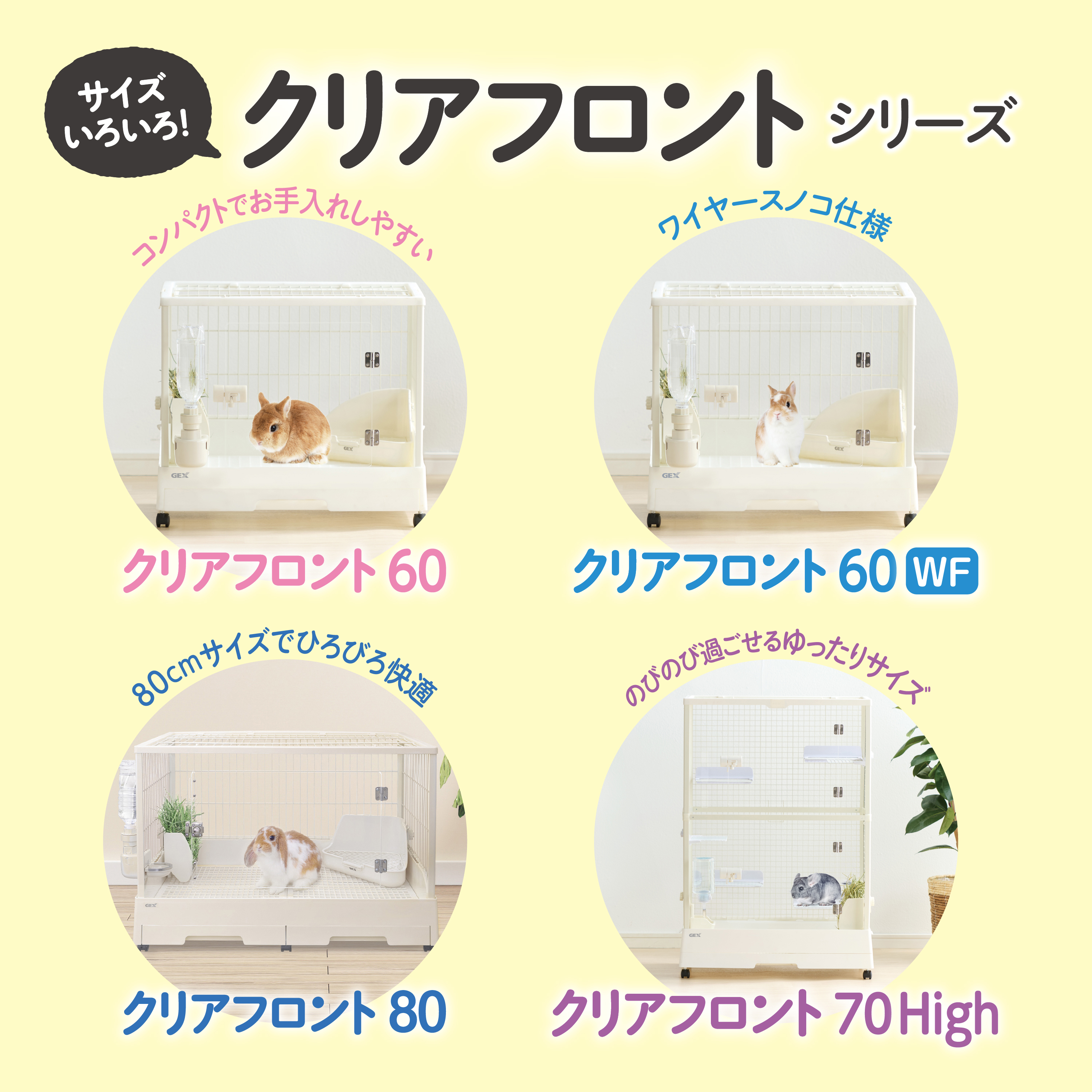 mydata_3121.jpg?1771275233