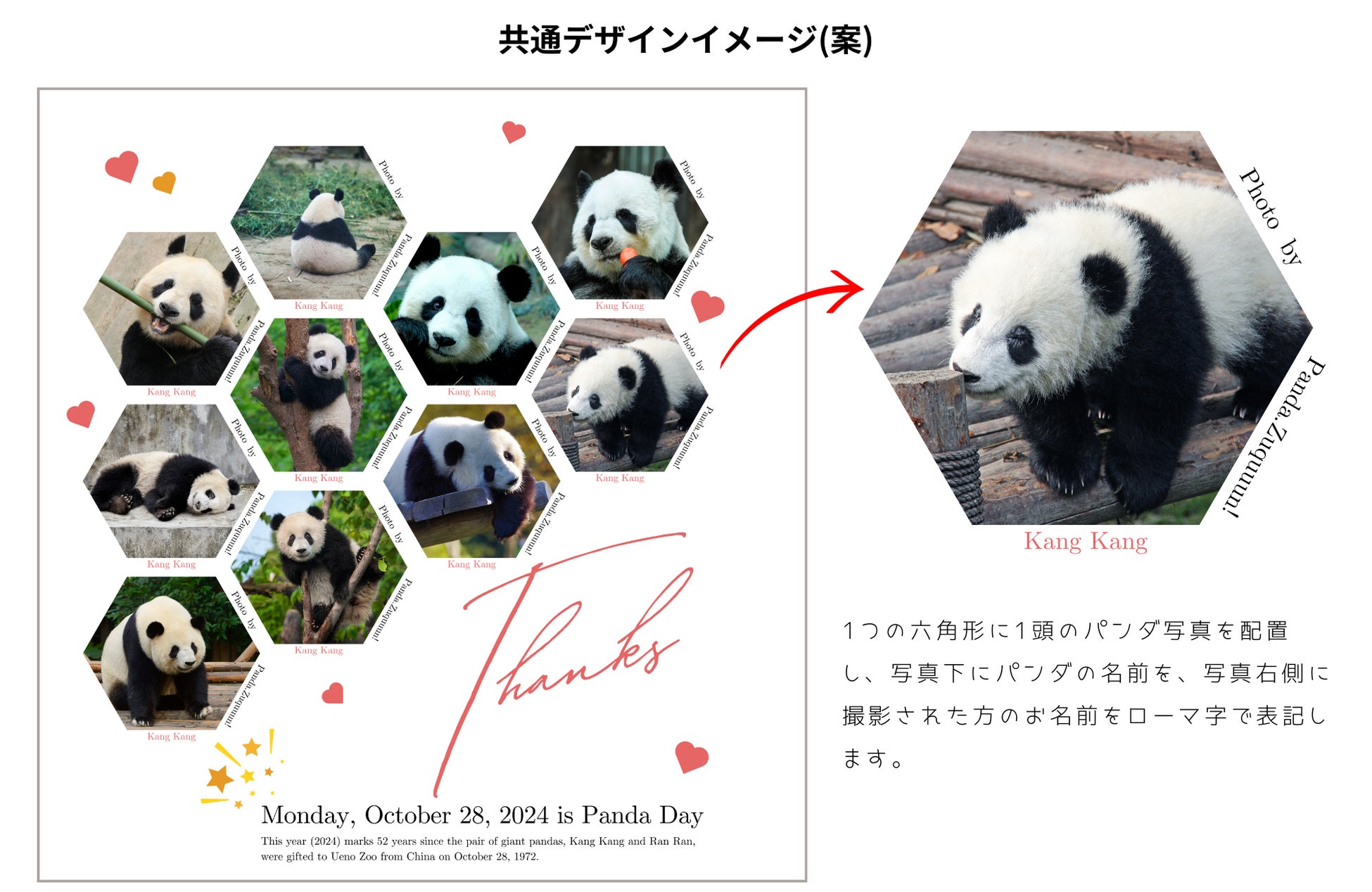 上野動物園歴代パンダの写真』でデザインしたオリジナルチャリティ