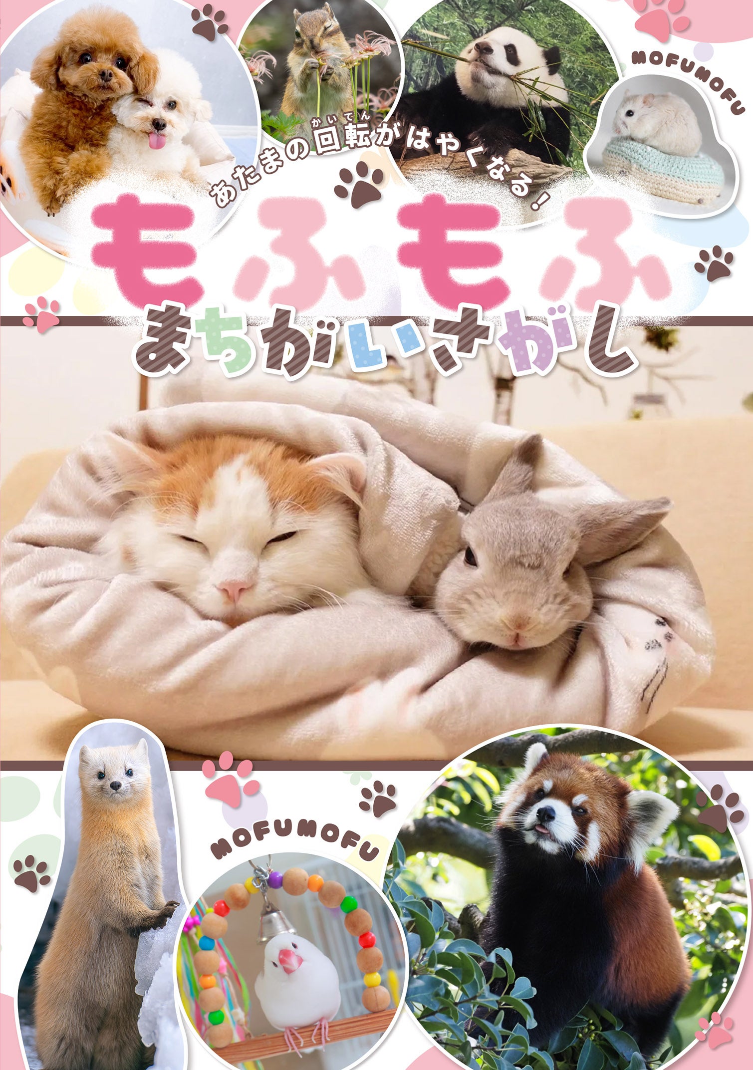 もふもふ動物に癒される♪ SNSで大人気の動物たちがまちがいさがしに