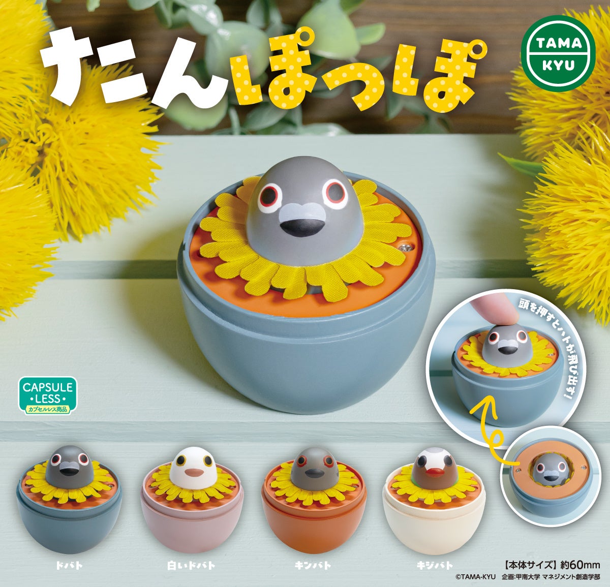 新商品】甲南大学コラボ商品最新作！ハトとタンポポが合体！？「たん