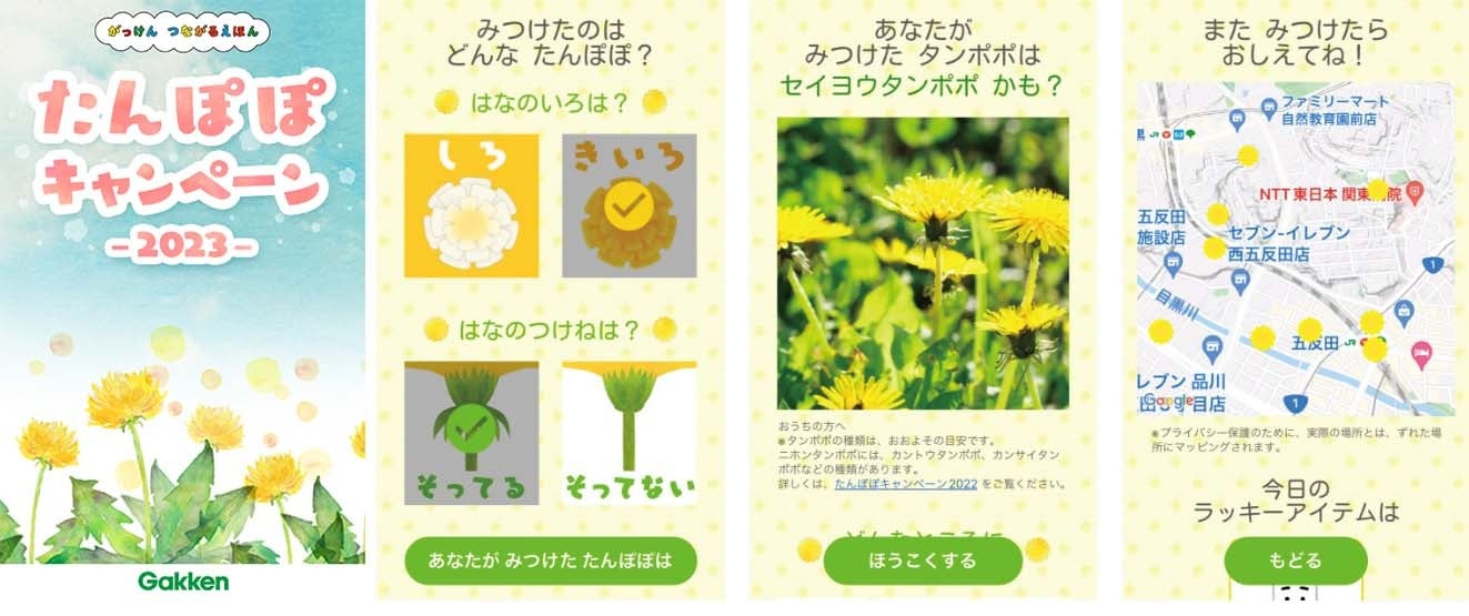 アプリでかんたん環境調べ。「たんぽぽキャンペーン2023」に参加しま