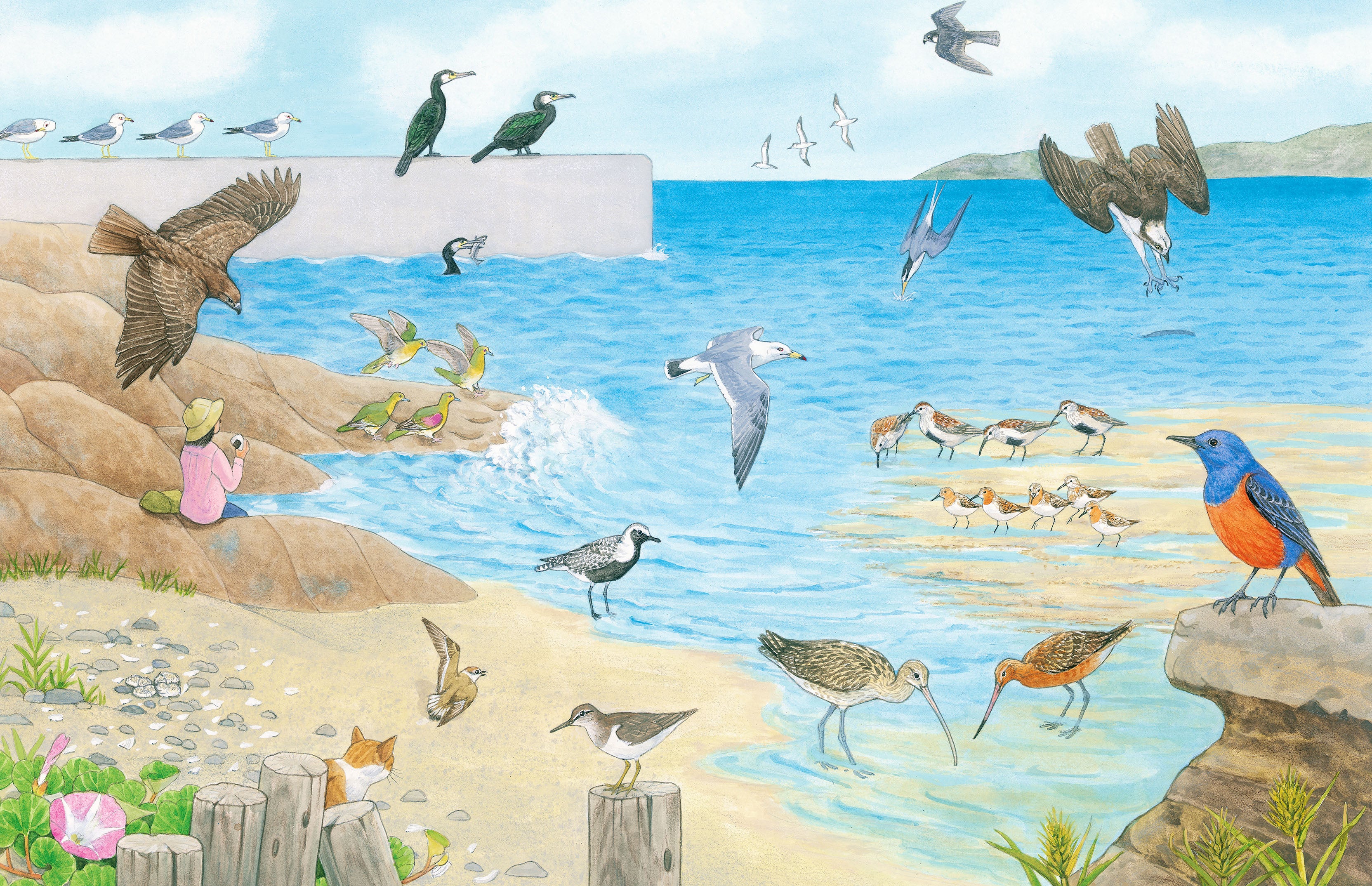 いきいきと描かれた四季の鳥たち！ 絵本図鑑『はっけんずかんプラス 鳥