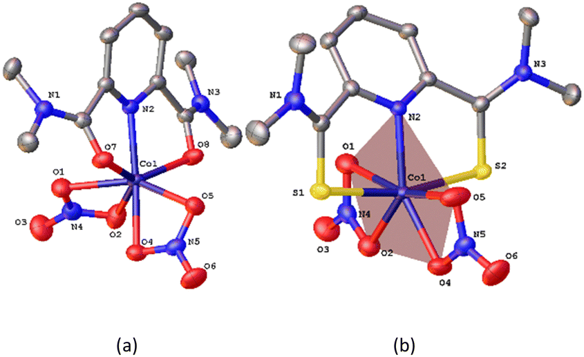 Structures and magnetic anisotropies of two seven-coordinate Co