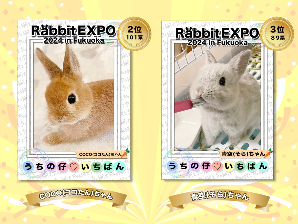 📸チャリティーフォトコンテスト うちの仔♡いちばん📸 - Rabbit EXPO