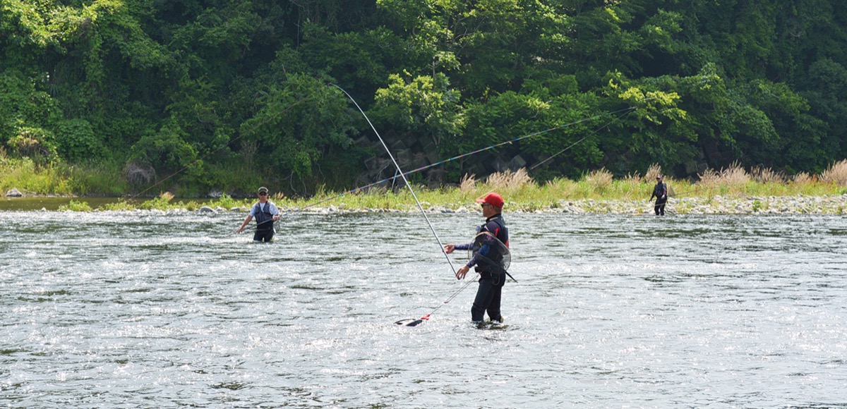相模川水系での鮎釣りが2025年6月1日に解禁 – 神奈川・東京多摩のご